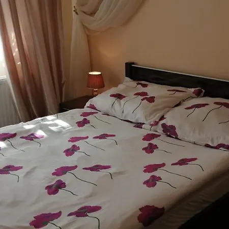 公寓 Apartament Olivia 科沃布热格